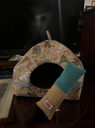 Cama para perro con juguete KONG