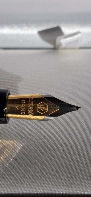 Stilografica Waterman expert
