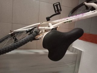 Bicicleta niña 8-10 años