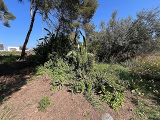 Terreno en venta en Urbanitzacions de Llevant en Tarragona