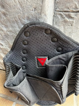 Espaldera Dainese D-TEC