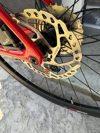 Bici Corsa Specialized Roubaix Carbonio