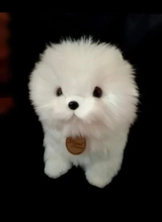 Peluche cachorro Bichón maltés  Muy realista!