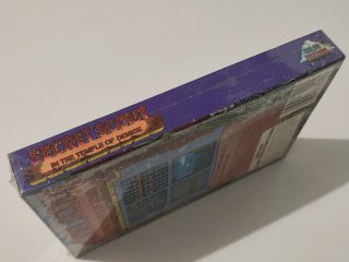Secret Scout in the Temple of Demise - NES Sealed