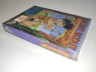 Secret Scout in the Temple of Demise - NES Sealed