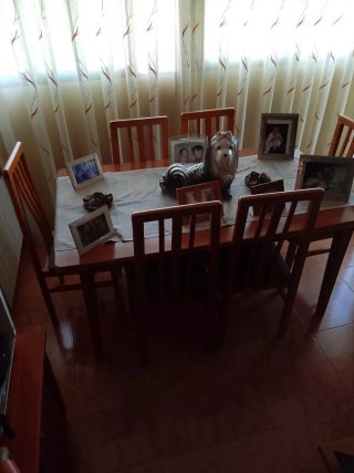 Mueble salón, mesa extensible y 6 sillas