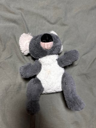 Peluche Koala  Nee doh popsicle  Squishy capybara