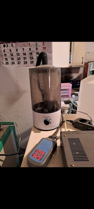 Incubadora Profesional