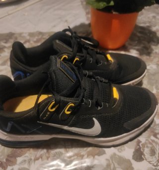 Scarpe Nike Air Max Alpa uomo