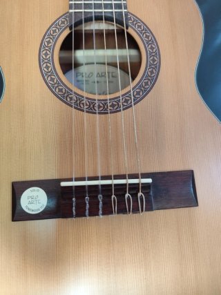 Guitarra Clásica Pro Arte Maestro CM-25L 1/4 Zurdo