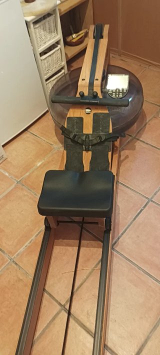 Remo de gimnasio