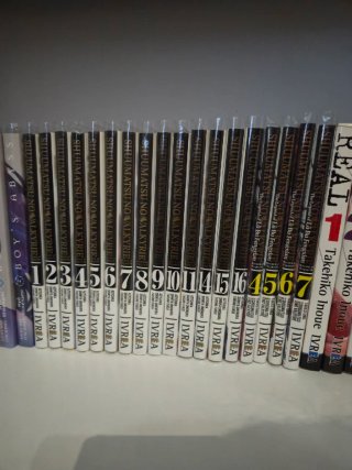 Coleccion mangas