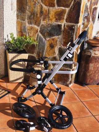 Bugaboo Cameleon 3 Plus. REGALO Grupo 0