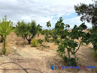 Terreno en venta en Caudete