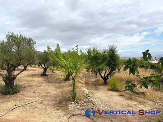 Terreno en venta en Caudete