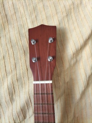 Ukulele XP con custodia