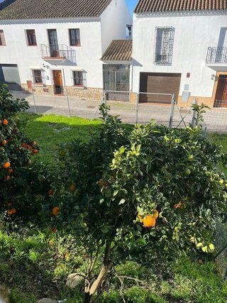 Solar en venta en Medina-Sidonia