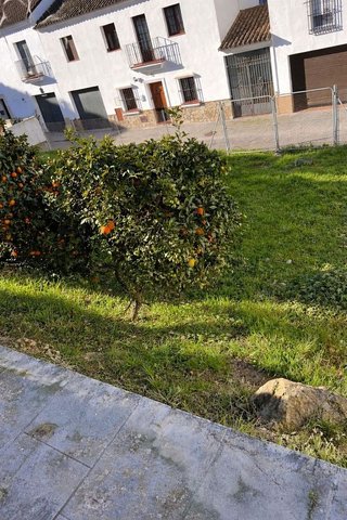 Solar en venta en Medina-Sidonia