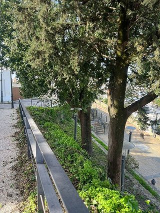 Solar en venta en Medina-Sidonia