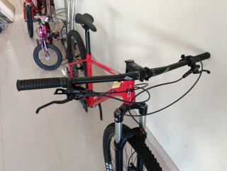Bici BH Expert 4.0 29