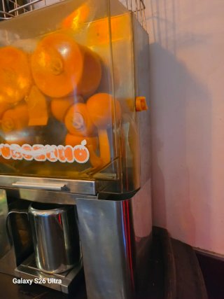 Exprimidor de Naranja Automático Profesional