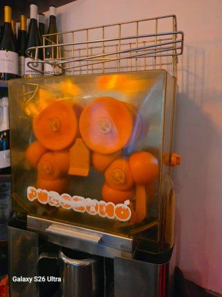 Exprimidor de Naranja Automático Profesional