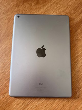 iPad Apple Gris