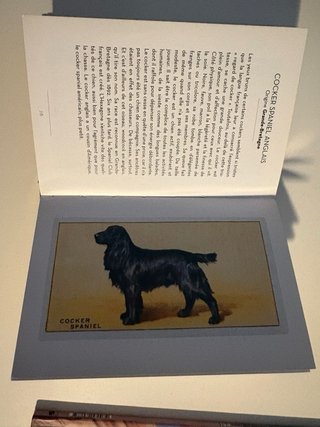 Atlas de los animales y otros libros de animales.
