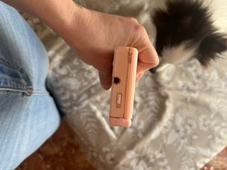 Nintendo DS Rosa
