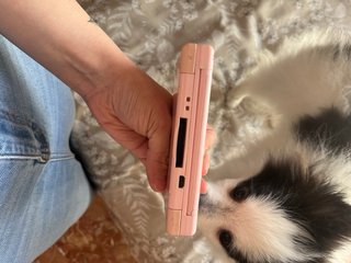 Nintendo DS Rosa
