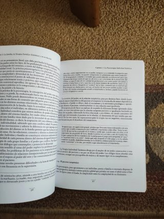 Terapia familiar sistémica aspectos teóricos y ...