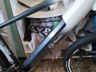 Bicicleta eléctrica Youin Everest
