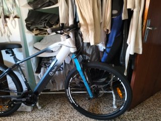 Bicicleta eléctrica Youin Everest