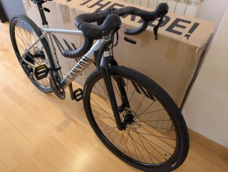 Bicicleta Canyon Endurace AllRoad 2025