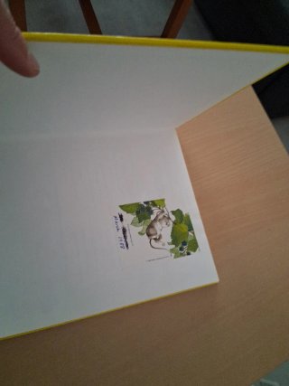 The Time Traveller Book of Long Ago