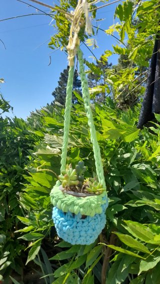 Colgante para plantas con suculentas