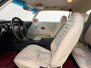 Pontiac FORMULA 400 FIREBIRD