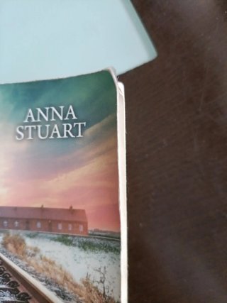 La enfermera de Auschwitz la novela que ha conq...