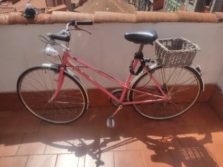 Bicicleta Vintage Rosa con Cesta