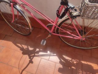 Bicicleta Vintage Rosa con Cesta
