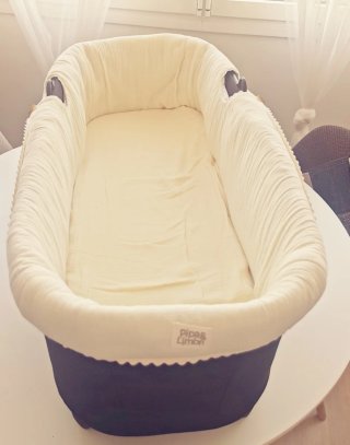 Capazo Bugaboo Dragonfly