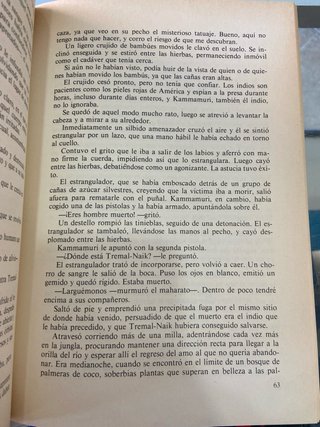 Los misterios de la jungla negra