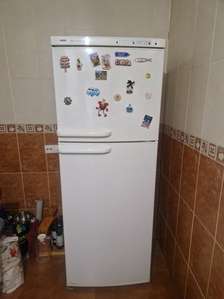 Frigorífico y Lavadora Bosch