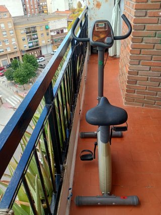 Bicicleta Estática Pro-Action Carina