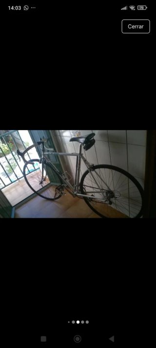 Bicicleta Zeus 4002