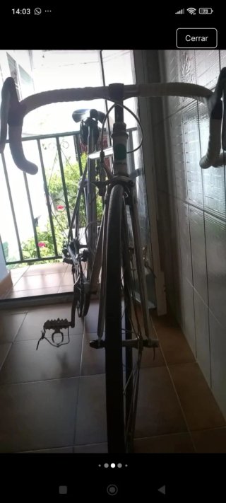 Bicicleta Zeus 4002