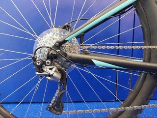 specialized sport jett