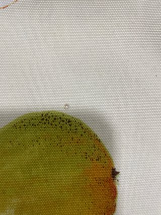 Funda cojín loneta estampado frutal