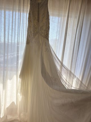 Abito da sposa originale Pronovias con custodia