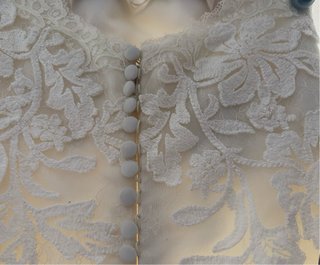 Abito da sposa originale Pronovias con custodia